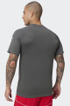 Remera Fabletics The Training Day Gris