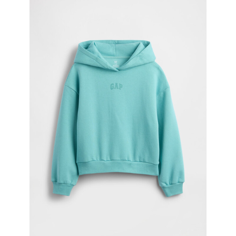 VTG SOFT LOGO PO_FA25 FROSTBITTEN BLUE