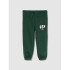 V-FRCH DISLOGO X GAP FAM JGR EVERGREEN GLAMOUR