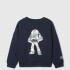 DIS 365 CREW SPR24 TAPESTRY NAVY