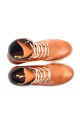 BORCEGO MARCEL TECOM