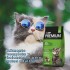 VITAL CAN PREMIUM GATO ADULTO 7.5 KG VITAL CAN PREMIUM GATO ADULTO 7.5 KG