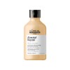 Pack L'oréal Prof Absolut Repair Golden Shampoo + Máscara Pack L'oréal Prof Absolut Repair Golden Shampoo + Máscara