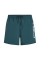 Short O'Neill Swim Trunk Azul