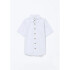 CAMISA MM MASC CAQUI ESCURO