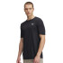 Vanish Seamless Novelty SS-RED BLK-001