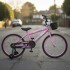 Bicicleta Infantil Sport Rod 20 Canasto Parrilla Guardabarro Rosa 1