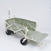 S61BC Carro De Playa Sunnylife - Seagrass Sage