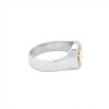 Anillo Profesión Asistente social-Plata y Oro-Sin Piedra-AP5001 sinpiedra