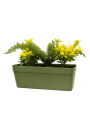 Jardinera con Ebonimos y Espárragos con maceta autoriego Jardinera con Ebonimos y Espárragos con maceta autoriego