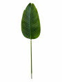 HOJA VERDE