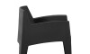 Silla Sillón de Exterior Master Negro