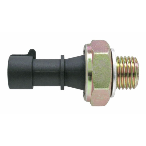 BULBO DE ACEITE Bulbo De Aceite