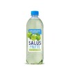 SALUS FRUTTE MANZANA VERDE SIN AZUCAR 600ML SALUS FRUTTE MANZANA VERDE SIN AZUCAR 600ML