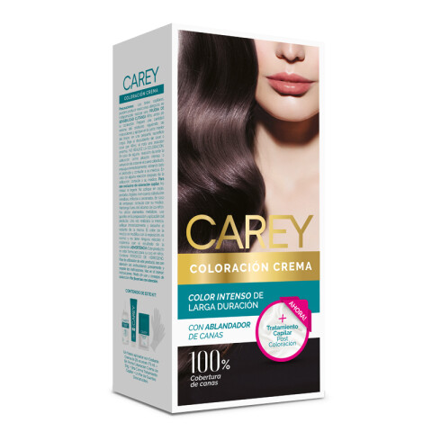Tintas Carey Castaño