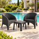 Juego de 2 sillones Olivia + Mesa 43x43 GRIS