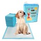 Pañales Entrenamiento Mascotas 60x60cm Sabanilla Absorbente x40 unidades Pañales Entrenamiento Mascotas 60x60cm Sabanilla Absorbente x40 unidades