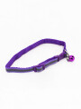 COLLAR CAT CAMPANA REFLEX LILA (V)