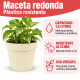 Set x4 Maceta 1,5 lts ARENA