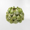 JARRON FICHI VERDE - -