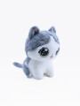 GATO CHATRAN GRIS