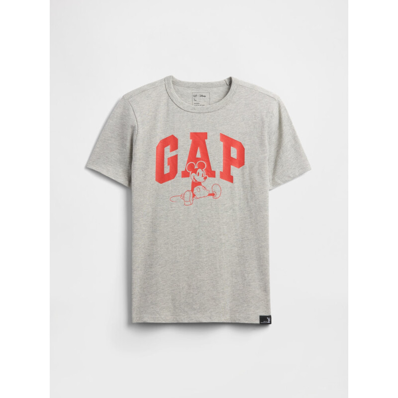 V-DIS FAM FALL LOGO TEE SP DIS FAM B08