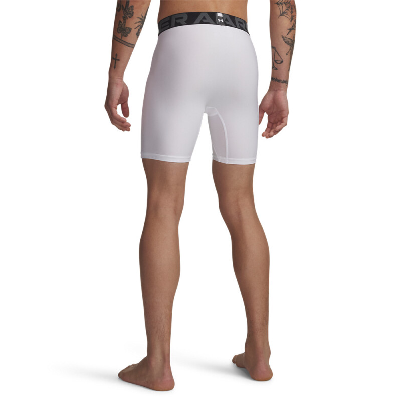 UA HG Armour Shorts-WHT WHT-100