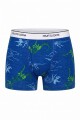 Pack x2 Boxer brief para niño toddler MULTICOLOR
