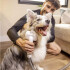 Aspiradora Karcher Cepillo Mascotas Para Perro Gato Pet Clean 5 En 1 ASPIRADORA PARA MASCOTAS KARCHER