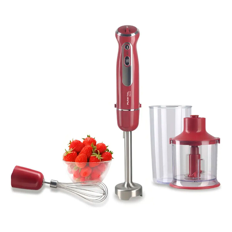 MIXER PUNKTAL PK-596 Vertical c/Accesorios -600W N/A