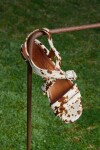 Mini Buckle Sandals Print Chocolate