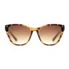 Lentes de Sol Chilli Beans Borneo Animal Print