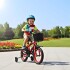 Bicicleta Infantil Sport Rod 12 Canasto Parrilla Guardabarros Rojo 1