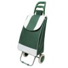 Carro de Compras con Ruedas Verde