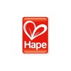 Juego Cordones Creativos Hape Con Bloques Juego Cordones Creativos Hape Con Bloques