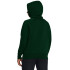 UA Rival Fleece Hoodie-PPL GRN-301