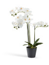 Planta artificial MATINUS A62cm flores Planta artificial MATINUS A62cm flores