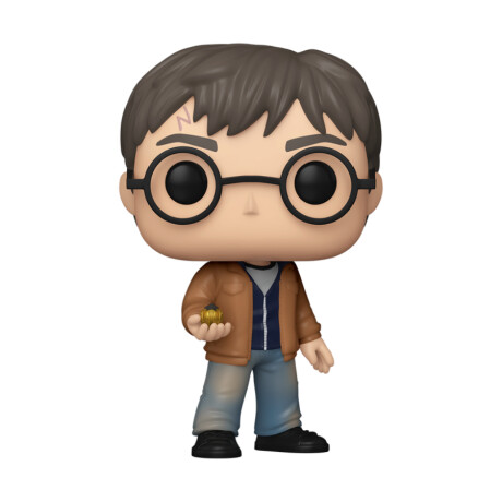 Harry Potter con Snitch - 196 Harry Potter con Snitch - 196