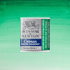 Acuarela Cotman - Winsor & Newton Tonos Verdes