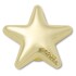 Gold Bubble Star Multicolor