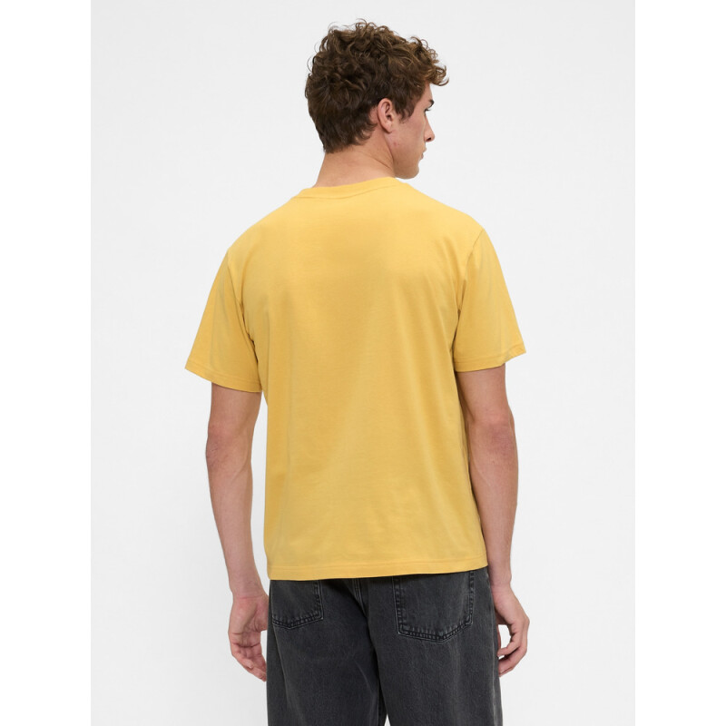 V-FRCH SS GAP VINTAGE GRAPHICS FRENCH ALMOND