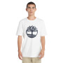 Polo US Tree Logo Short Sleeve Tee Hombre White