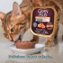 PATE GRAN PLUS GATO CASTRADO ADULTO SALMON ANTI BOLA DE PELO 100 GRS PATE GRAN PLUS GATO CASTRADO ADULTO SALMON ANTI BOLA DE PELO 100 GRS