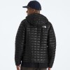 Campera Thermoball Hooded Tnf Black