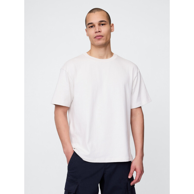 JPN SS WORLDWIDE LOGO T CARLS STONE V2