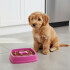 Plato Comedero Come Lento Perros Gatos Mascotas Plastico Color Fucsia