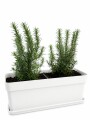 JARDINERA CON ROMEROS BLANCA