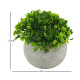 Arbusto Boj Artificial 12X9CM S/C