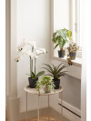 Planta artificial MATINUS A62cm flores Planta artificial MATINUS A62cm flores