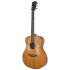 Guitarra folk Bromo BAR2R natural c/funda semi rigida Guitarra folk Bromo BAR2R natural c/funda semi rigida